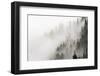 Cloud Forest, Glacier National Park, Montana, Usa-Russ Bishop-Framed Photographic Print