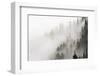 Cloud Forest, Glacier National Park, Montana, Usa-Russ Bishop-Framed Photographic Print