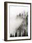 Cloud Forest, Glacier National Park, Montana-Russ Bishop-Framed Photographic Print