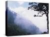 Cloud Forest near Fuentes Georginos and Quatzaltenango, Guatemala-Merrill Images-Stretched Canvas