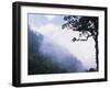 Cloud Forest near Fuentes Georginos and Quatzaltenango, Guatemala-Merrill Images-Framed Photographic Print