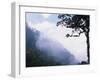 Cloud Forest near Fuentes Georginos and Quatzaltenango, Guatemala-Merrill Images-Framed Photographic Print