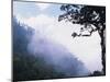 Cloud Forest near Fuentes Georginos and Quatzaltenango, Guatemala-Merrill Images-Mounted Photographic Print