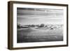 Cloud Formation from Out a Plane Window in Black and White with Dr. Seuss Quote-null-Framed Photo