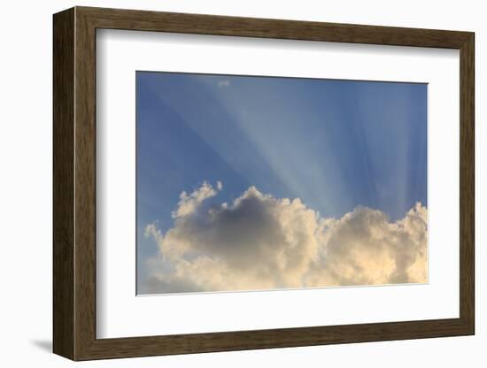 Cloud formations after sunrise, Hulopo'e Bay, Lanai Island, Hawaii, USA-Stuart Westmorland-Framed Photographic Print