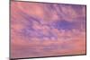 Cloud formations near Sunset, Inside Passage near Vancouver Island, British Columbia, Canada-Stuart Westmorland-Mounted Photographic Print