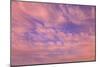 Cloud formations near Sunset, Inside Passage near Vancouver Island, British Columbia, Canada-Stuart Westmorland-Mounted Photographic Print