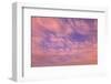 Cloud formations near Sunset, Inside Passage near Vancouver Island, British Columbia, Canada-Stuart Westmorland-Framed Premium Photographic Print