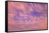 Cloud formations near Sunset, Inside Passage near Vancouver Island, British Columbia, Canada-Stuart Westmorland-Framed Stretched Canvas