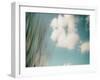 Cloud Formations-Savanah Plank-Framed Photo