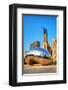 Cloud Gate in Millenium Park-null-Framed Art Print