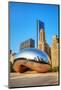 Cloud Gate in Millenium Park-null-Mounted Art Print