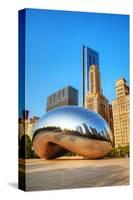 Cloud Gate in Millenium Park-null-Stretched Canvas