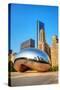 Cloud Gate in Millenium Park-null-Stretched Canvas