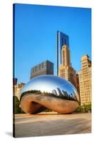 Cloud Gate Millenium Park-null-Stretched Canvas