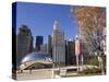 Cloud Gate sculpture in Millennium Park, Chicago, Illinois, USA-Alan Klehr-Stretched Canvas