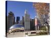 Cloud Gate sculpture in Millennium Park, Chicago, Illinois, USA-Alan Klehr-Stretched Canvas