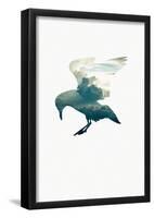 Cloud Gull-null-Framed Poster