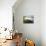 Cloud in Crater, Caldeira, Faial, Azores, Portugal, Europe-Ken Gillham-Stretched Canvas displayed on a wall
