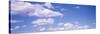 Cloud in the Blue Sky-null-Stretched Canvas