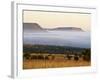 Cloud Layer at Dawn, Mountain Zebra National Park, South Africa, Africa-James Hager-Framed Photographic Print