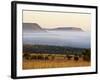 Cloud Layer at Dawn, Mountain Zebra National Park, South Africa, Africa-James Hager-Framed Photographic Print