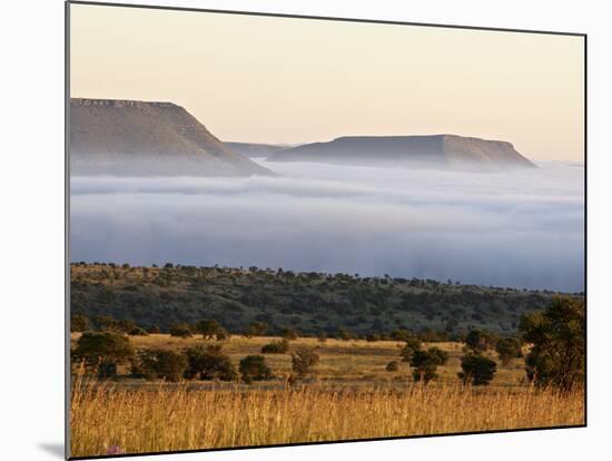 Cloud Layer at Dawn, Mountain Zebra National Park, South Africa, Africa-James Hager-Mounted Photographic Print