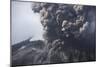 Cloud of Volcanic Ash from Sakurajima Kagoshima Japan-Nosnibor137-Mounted Photographic Print