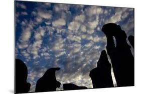 Cloud Patterns Viewed Up Through Silhouettes of Standing Stones on Blanket Bog, Forsinard, Scotland-Peter Cairns-Mounted Photographic Print