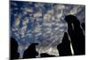 Cloud Patterns Viewed Up Through Silhouettes of Standing Stones on Blanket Bog, Forsinard, Scotland-Peter Cairns-Mounted Photographic Print