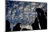 Cloud Patterns Viewed Up Through Silhouettes of Standing Stones on Blanket Bog, Forsinard, Scotland-Peter Cairns-Mounted Photographic Print