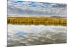 Cloud Reflection on Bear River National Wildlife Refuge, Utah-Howie Garber-Mounted Photographic Print