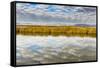 Cloud Reflection on Bear River National Wildlife Refuge, Utah-Howie Garber-Framed Stretched Canvas