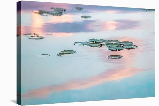 Cloud Reflections-Brooke T. Ryan-Stretched Canvas