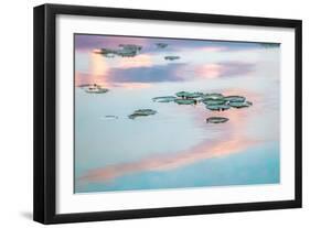 Cloud Reflections-Brooke T. Ryan-Framed Photographic Print