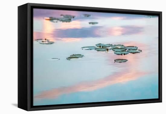 Cloud Reflections-Brooke T. Ryan-Framed Stretched Canvas