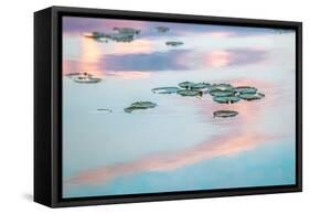 Cloud Reflections-Brooke T. Ryan-Framed Stretched Canvas