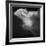 Cloud Study 3-Edward Asher-Framed Giclee Print