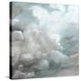 Cloud Study IV-Naomi McCavitt-Stretched Canvas