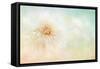 Cloud-Jacky Parker-Framed Stretched Canvas