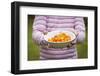 Cloudberry-Annems-Framed Photographic Print