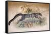 Clouded Leopard, 1851-69-Joseph Wolf-Framed Stretched Canvas