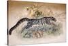 Clouded Leopard, 1851-69-Joseph Wolf-Stretched Canvas