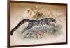 Clouded Leopard, 1851-69-Joseph Wolf-Framed Giclee Print