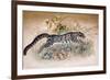 Clouded Leopard, 1851-69-Joseph Wolf-Framed Giclee Print