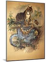 Clouded Leopard, 1861-Joseph Wolf-Mounted Giclee Print