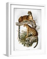 Clouded Leopard, 1883-null-Framed Giclee Print