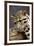 Clouded Leopard Close Up of Face-null-Framed Photographic Print