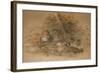 Clouded Leopard (Fleis Macrocelis)-Joseph Wolf-Framed Giclee Print