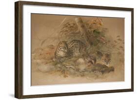 Clouded Leopard (Fleis Macrocelis)-Joseph Wolf-Framed Giclee Print